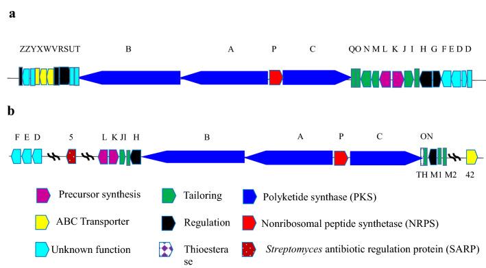 https://cdn.ncbi.nlm.nih.gov/pmc/blobs/6351/10991802/238a04d10052/40643_2022_554_Fig3_HTML.jpg