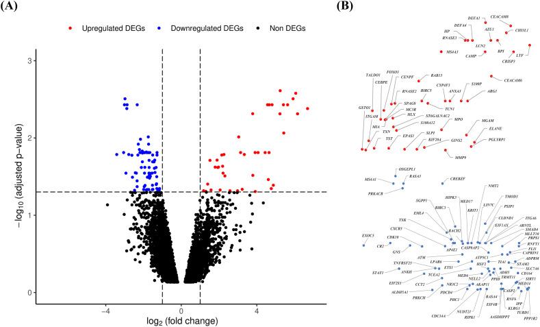 https://cdn.ncbi.nlm.nih.gov/pmc/blobs/6357/7361122/109b12f17663/gr2_lrg.jpg