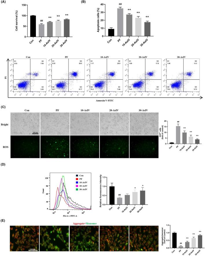 https://cdn.ncbi.nlm.nih.gov/pmc/blobs/6358/10538260/b796ef1753fe/JCMM-27-2945-g003.jpg