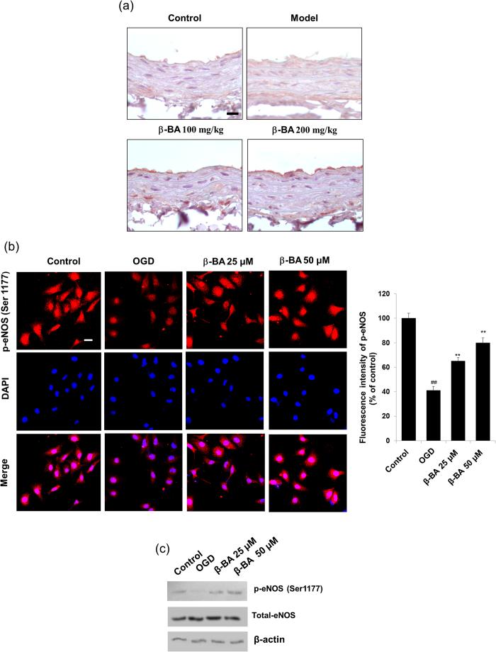 https://cdn.ncbi.nlm.nih.gov/pmc/blobs/6359/4611516/ebe05df46f93/srep15357-f4.jpg