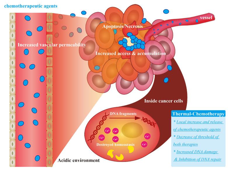 https://cdn.ncbi.nlm.nih.gov/pmc/blobs/635d/9495761/2f8e5ad0223c/bioengineering-09-00474-g002.jpg