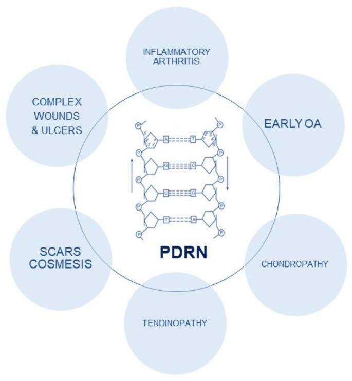 https://cdn.ncbi.nlm.nih.gov/pmc/blobs/635e/10002571/31cf004d6859/ijms-24-04582-g001.jpg