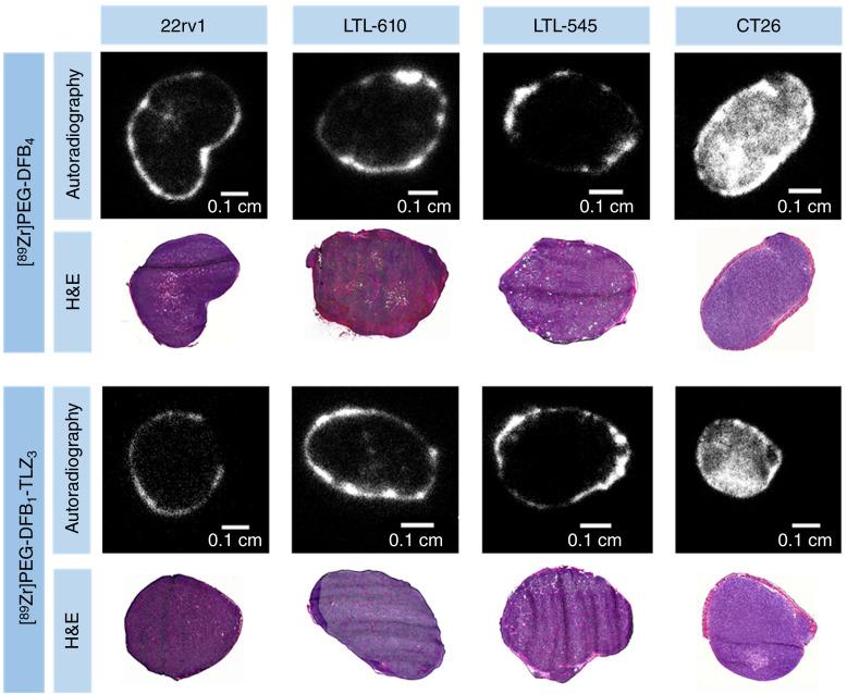 https://cdn.ncbi.nlm.nih.gov/pmc/blobs/635e/11694059/cb4aa9a8075b/mct-24-0024_f4.jpg