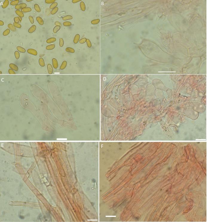 https://cdn.ncbi.nlm.nih.gov/pmc/blobs/6362/10584187/1fe7f29290a2/pone.0290894.g002.jpg