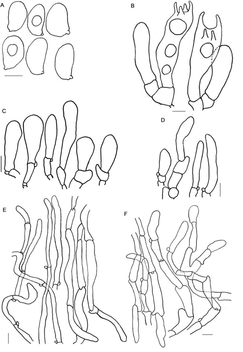 https://cdn.ncbi.nlm.nih.gov/pmc/blobs/6362/10584187/e8e807528aa1/pone.0290894.g005.jpg
