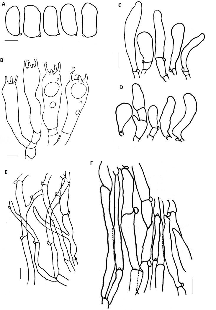 https://cdn.ncbi.nlm.nih.gov/pmc/blobs/6362/10584187/f8575ffdd3b5/pone.0290894.g003.jpg