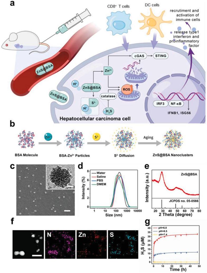 https://cdn.ncbi.nlm.nih.gov/pmc/blobs/6362/11620084/c03b8d3743a6/gr1.jpg