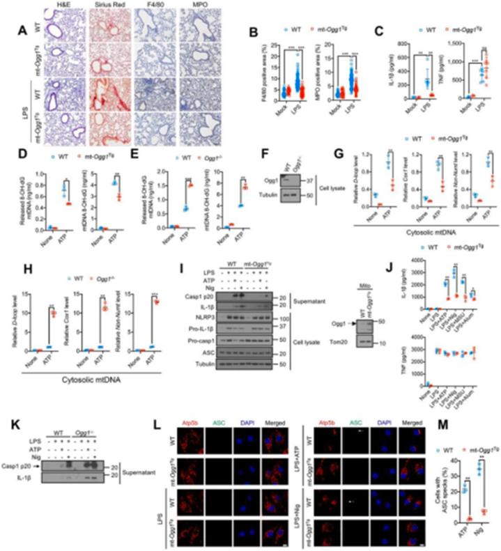 https://cdn.ncbi.nlm.nih.gov/pmc/blobs/6362/11620084/f91078e88f0c/gr4.jpg