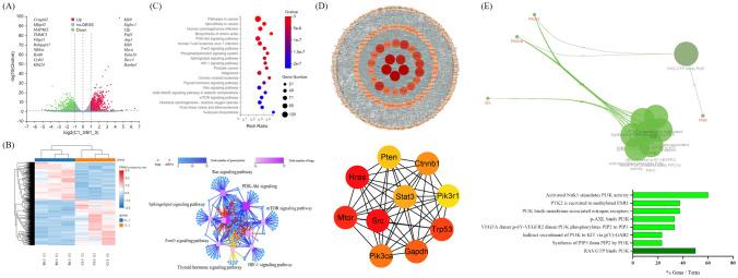 https://cdn.ncbi.nlm.nih.gov/pmc/blobs/6363/11093951/8d05b7eea537/262_2024_3694_Fig3_HTML.jpg