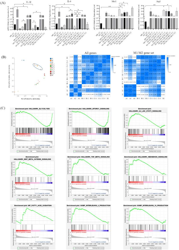 https://cdn.ncbi.nlm.nih.gov/pmc/blobs/6363/11093951/bb15bb0d9fd2/262_2024_3694_Fig2_HTML.jpg