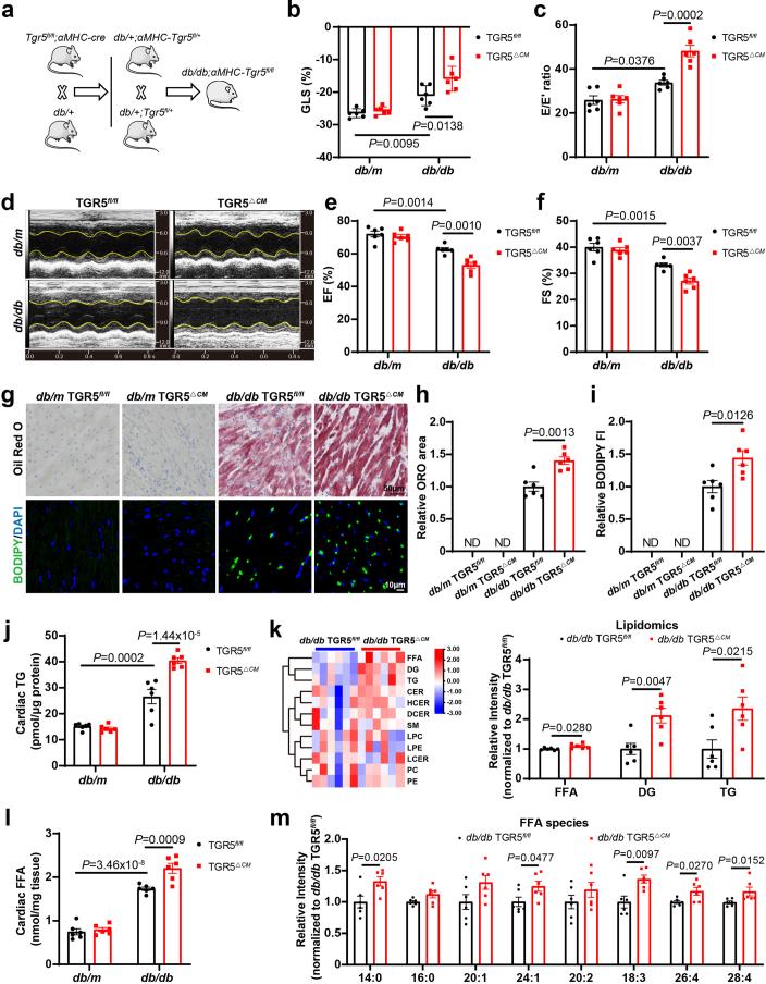 https://cdn.ncbi.nlm.nih.gov/pmc/blobs/6364/11199146/2c9654f31a66/42255_2024_1036_Fig10_ESM.jpg