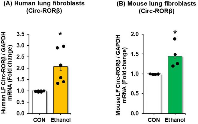 https://cdn.ncbi.nlm.nih.gov/pmc/blobs/6364/12405534/f6ae1c4506ff/41598_2025_15040_Fig2_HTML.jpg