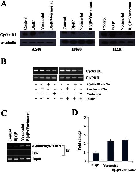 https://cdn.ncbi.nlm.nih.gov/pmc/blobs/6366/4683946/3fb80a647608/12885_2015_2001_Fig4_HTML.jpg