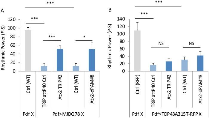 https://cdn.ncbi.nlm.nih.gov/pmc/blobs/6366/6782096/0add55f84f00/pgen.1008356.g004.jpg