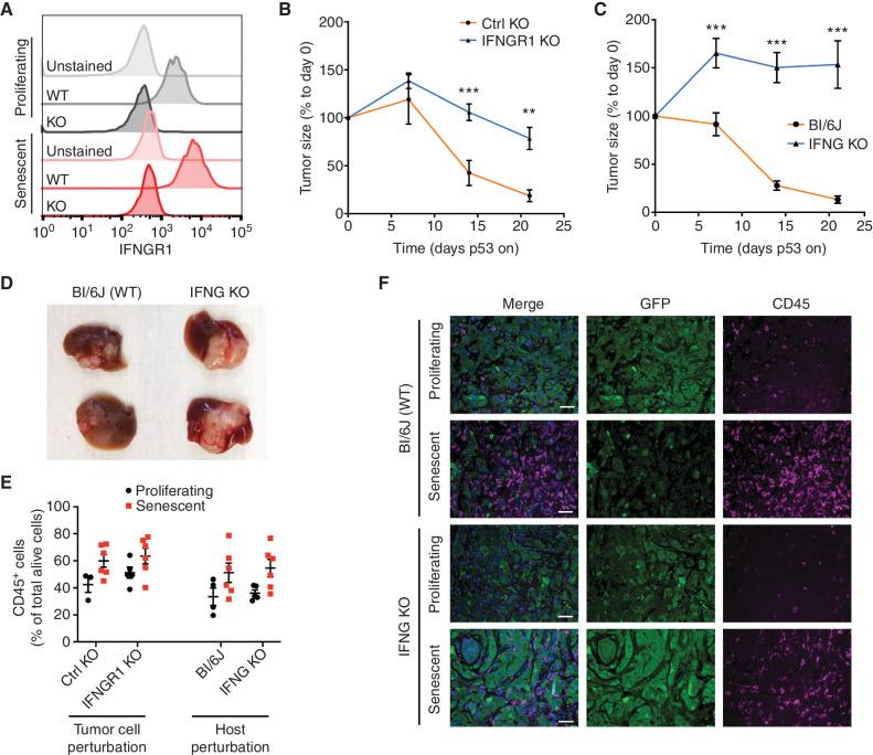 https://cdn.ncbi.nlm.nih.gov/pmc/blobs/6369/9901536/a267e88480c8/432fig7.jpg
