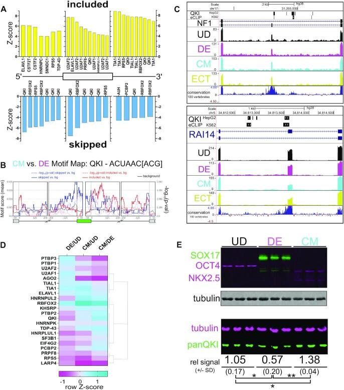 https://cdn.ncbi.nlm.nih.gov/pmc/blobs/636b/9122611/c5d1e631eba7/gkac327fig2.jpg