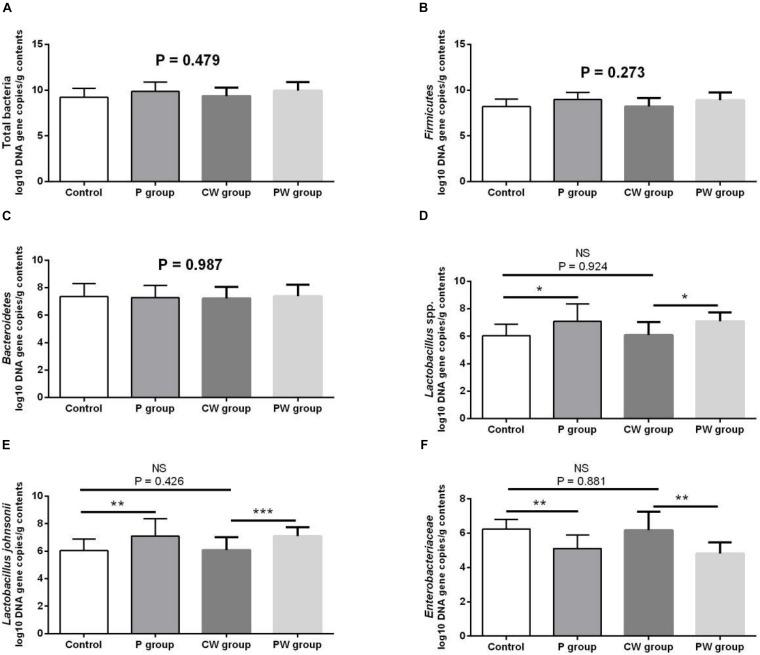 https://cdn.ncbi.nlm.nih.gov/pmc/blobs/6370/7438410/30f04c3b88e4/fmicb-11-01941-g005.jpg