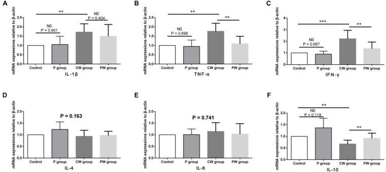 https://cdn.ncbi.nlm.nih.gov/pmc/blobs/6370/7438410/3cb06f27f78b/fmicb-11-01941-g007.jpg