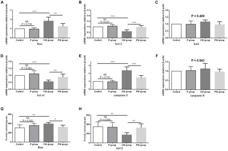 https://cdn.ncbi.nlm.nih.gov/pmc/blobs/6370/7438410/44a1155b0004/fmicb-11-01941-g013.jpg