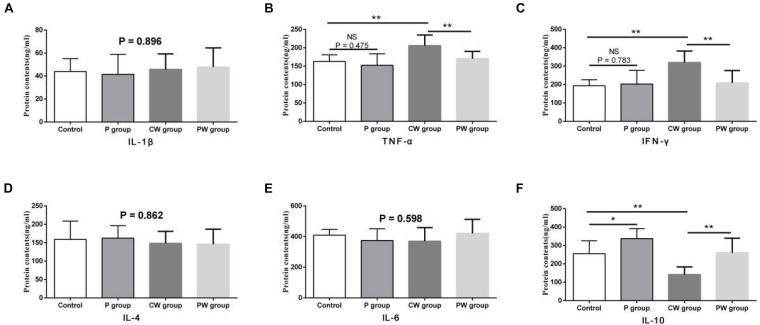 https://cdn.ncbi.nlm.nih.gov/pmc/blobs/6370/7438410/ed9a5d36d89e/fmicb-11-01941-g008.jpg