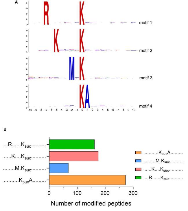 https://cdn.ncbi.nlm.nih.gov/pmc/blobs/6372/7892601/b41bdf8d3f33/fcimb-10-626574-g004.jpg