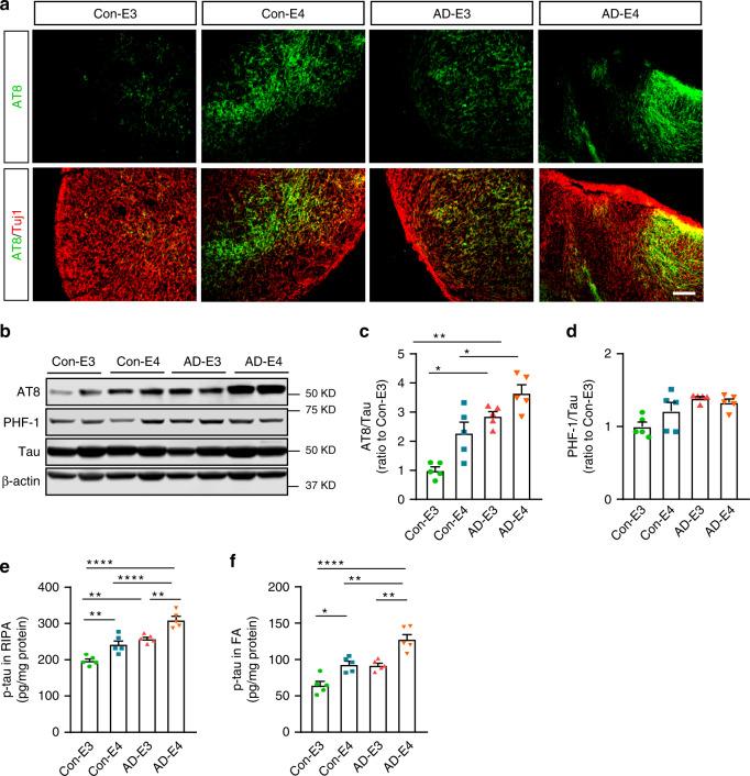 https://cdn.ncbi.nlm.nih.gov/pmc/blobs/6375/7608683/99a26418473a/41467_2020_19264_Fig4_HTML.jpg