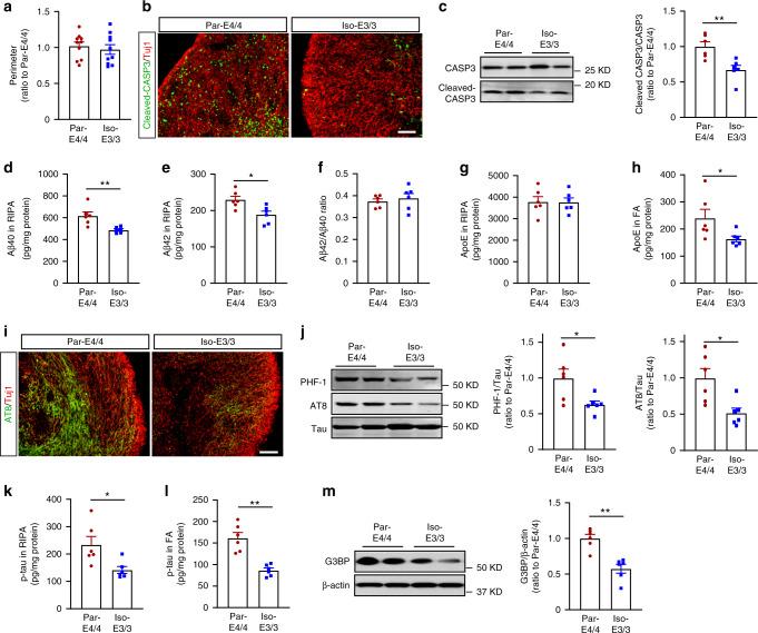 https://cdn.ncbi.nlm.nih.gov/pmc/blobs/6375/7608683/c1b7c7720aed/41467_2020_19264_Fig7_HTML.jpg
