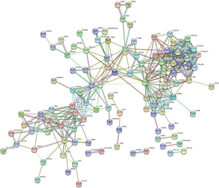 https://cdn.ncbi.nlm.nih.gov/pmc/blobs/6375/8350151/3615eebb68fb/DMSO-14-3471-g0003.jpg