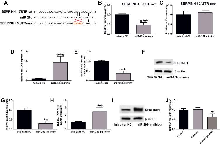 https://cdn.ncbi.nlm.nih.gov/pmc/blobs/6375/8350151/60cb7659cc87/DMSO-14-3471-g0007.jpg