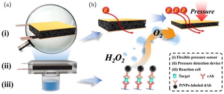 https://cdn.ncbi.nlm.nih.gov/pmc/blobs/6377/12190383/56bd9edf926b/biosensors-15-00375-g008.jpg