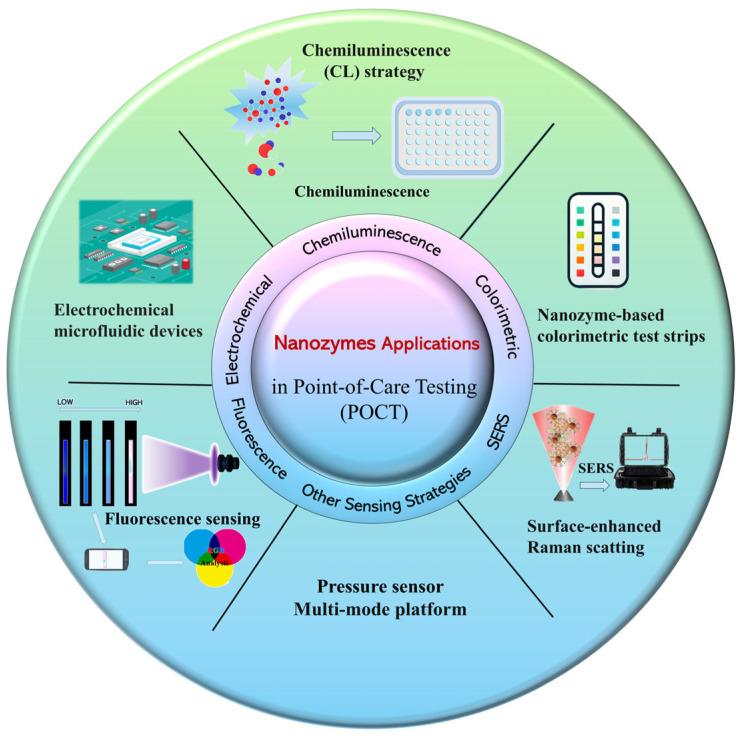 https://cdn.ncbi.nlm.nih.gov/pmc/blobs/6377/12190383/752443f0e972/biosensors-15-00375-g001.jpg