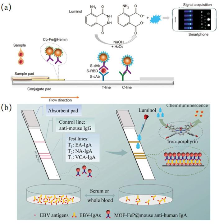 https://cdn.ncbi.nlm.nih.gov/pmc/blobs/6377/12190383/7e1396b8487e/biosensors-15-00375-g006.jpg