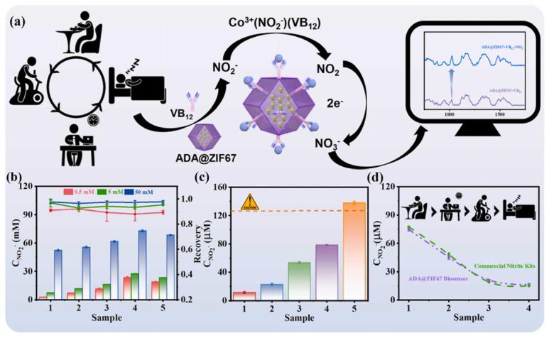 https://cdn.ncbi.nlm.nih.gov/pmc/blobs/6377/12190383/d63caa6f6392/biosensors-15-00375-g007.jpg