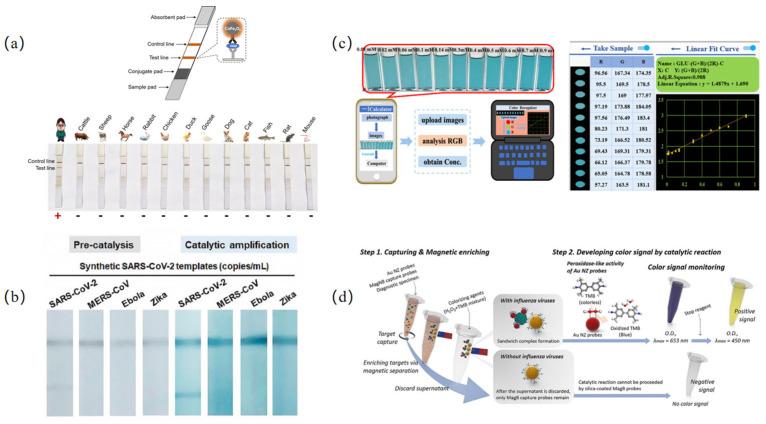 https://cdn.ncbi.nlm.nih.gov/pmc/blobs/6377/12190383/efb4d43b483d/biosensors-15-00375-g003.jpg
