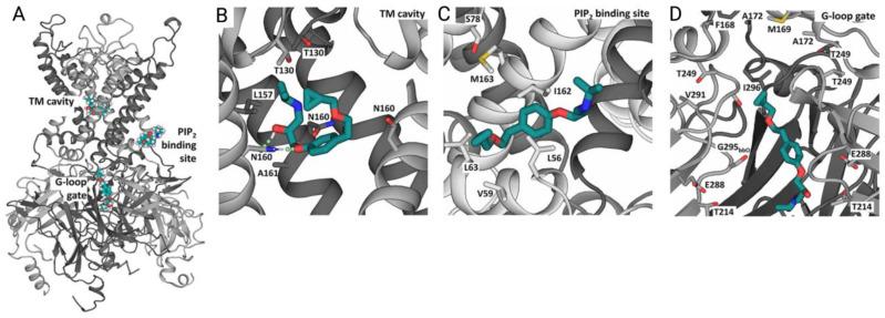 https://cdn.ncbi.nlm.nih.gov/pmc/blobs/6379/10253043/448372ac3a39/ijms-24-09226-g007.jpg