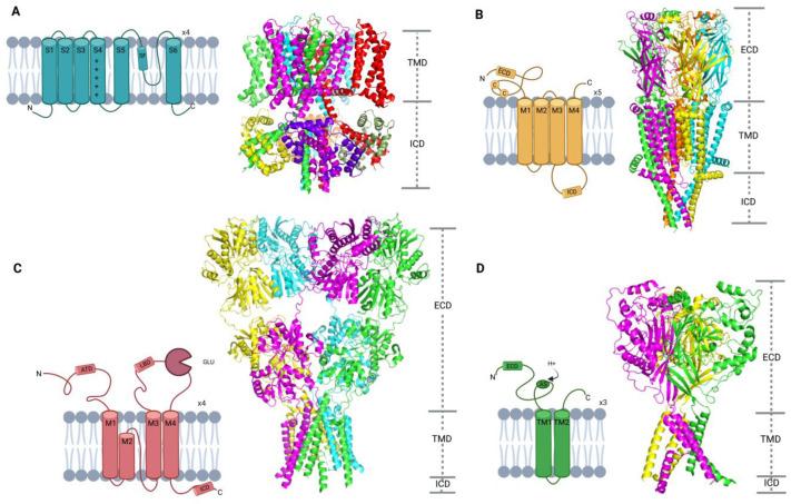 https://cdn.ncbi.nlm.nih.gov/pmc/blobs/6379/10253043/708fb87d1f9c/ijms-24-09226-g003.jpg