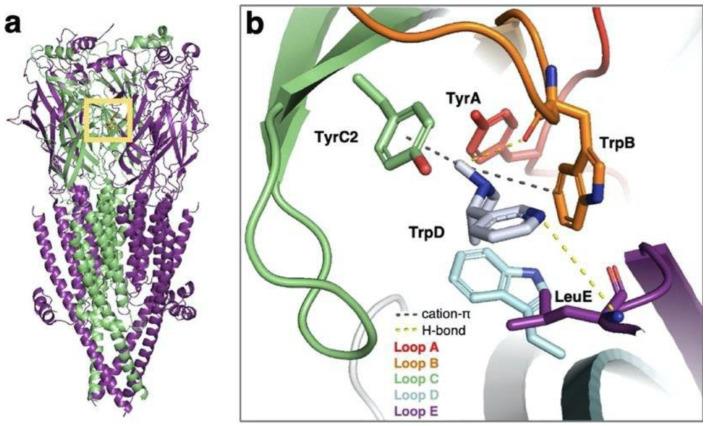 https://cdn.ncbi.nlm.nih.gov/pmc/blobs/6379/10253043/965d74cdb45f/ijms-24-09226-g004.jpg
