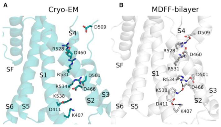 https://cdn.ncbi.nlm.nih.gov/pmc/blobs/6379/10253043/c162758fdf7d/ijms-24-09226-g006.jpg