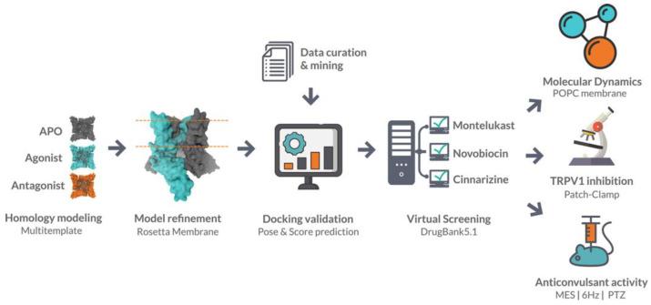 https://cdn.ncbi.nlm.nih.gov/pmc/blobs/6379/10253043/fe848535de5e/ijms-24-09226-g008.jpg