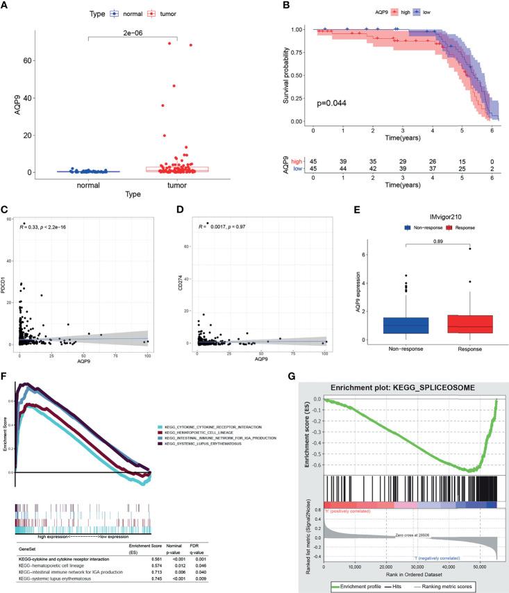 https://cdn.ncbi.nlm.nih.gov/pmc/blobs/637d/8602816/058ef84dee84/fonc-11-770565-g005.jpg