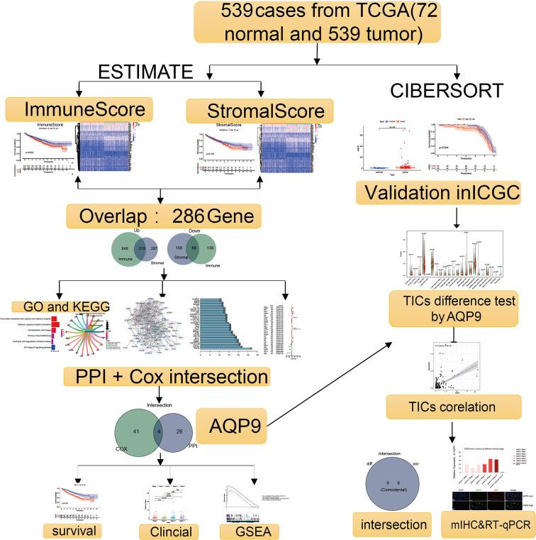 https://cdn.ncbi.nlm.nih.gov/pmc/blobs/637d/8602816/2f68de335e5b/fonc-11-770565-g001.jpg