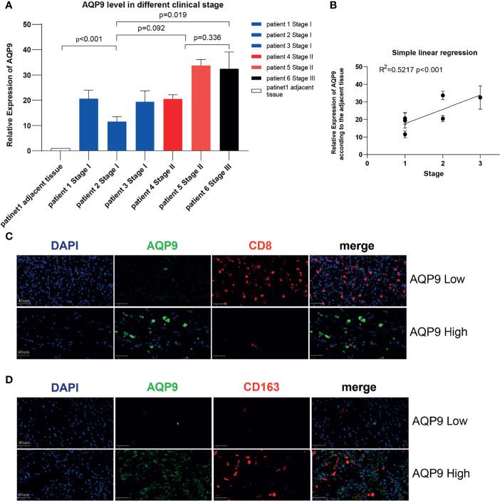 https://cdn.ncbi.nlm.nih.gov/pmc/blobs/637d/8602816/767c422b8a58/fonc-11-770565-g007.jpg