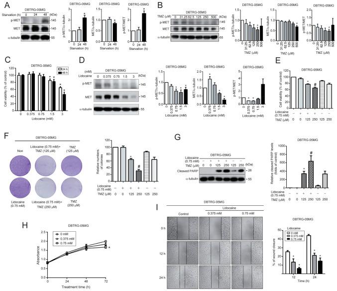 https://cdn.ncbi.nlm.nih.gov/pmc/blobs/637f/11024889/e6dde54dd5e6/or-51-05-08731-g04.jpg