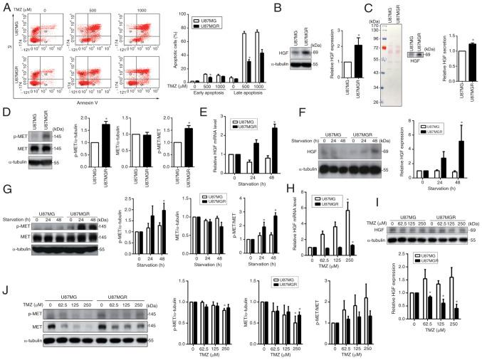 https://cdn.ncbi.nlm.nih.gov/pmc/blobs/637f/11024889/f4e6b950fbaa/or-51-05-08731-g01.jpg