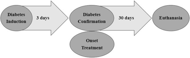 https://cdn.ncbi.nlm.nih.gov/pmc/blobs/637f/6192983/1fb8b0735a18/41598_2018_33727_Fig8_HTML.jpg