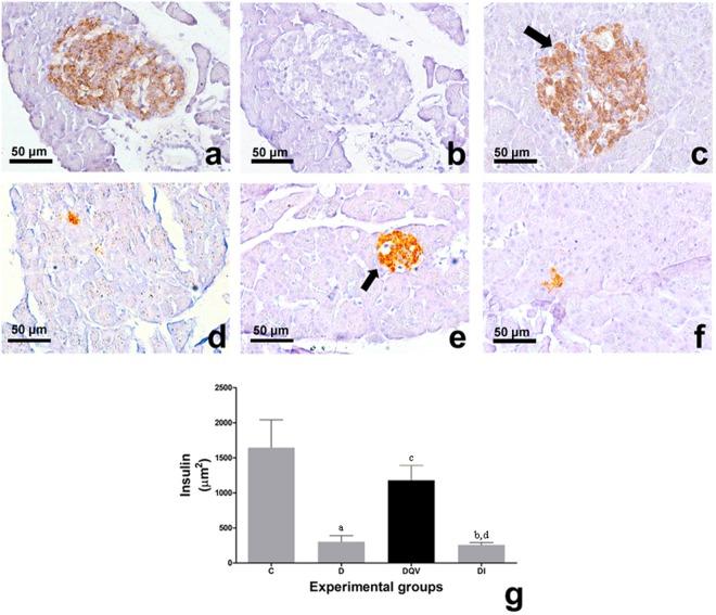 https://cdn.ncbi.nlm.nih.gov/pmc/blobs/637f/6192983/e141217703c4/41598_2018_33727_Fig2_HTML.jpg