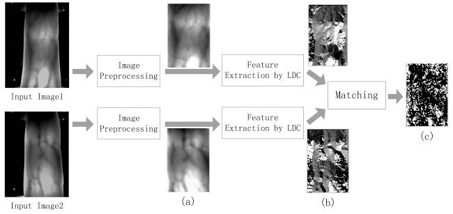 https://cdn.ncbi.nlm.nih.gov/pmc/blobs/6380/3522947/a24b6ecb034f/sensors-12-14937f4.jpg