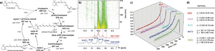https://cdn.ncbi.nlm.nih.gov/pmc/blobs/6381/10539803/51b34089fb0b/mr-2-291-f08.jpg