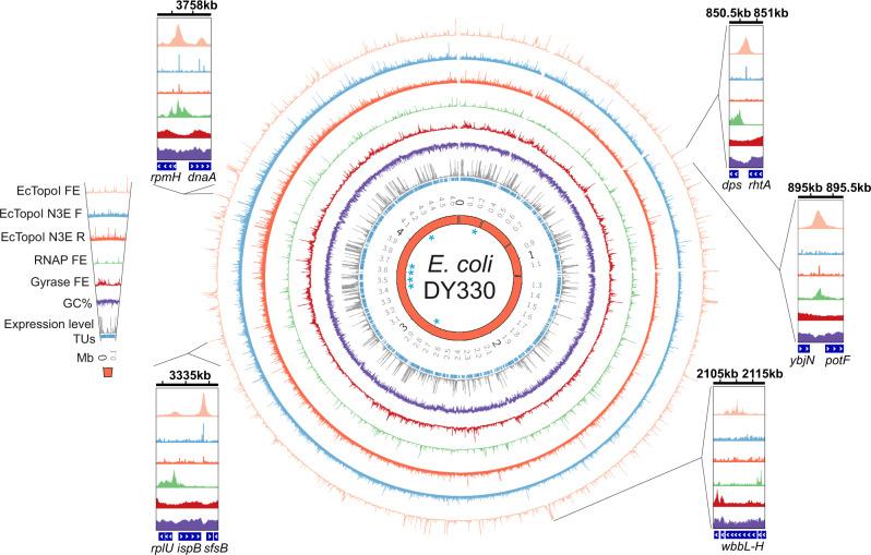 https://cdn.ncbi.nlm.nih.gov/pmc/blobs/6382/9352719/2fd3533dcdfd/41467_2022_32106_Fig1_HTML.jpg