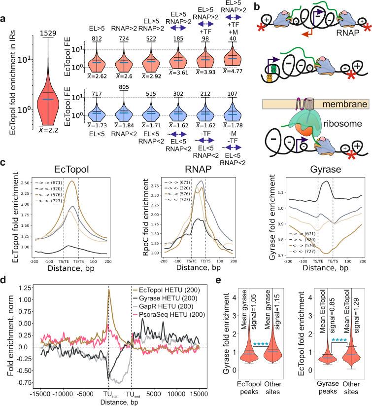 https://cdn.ncbi.nlm.nih.gov/pmc/blobs/6382/9352719/d9c04b510d3e/41467_2022_32106_Fig3_HTML.jpg
